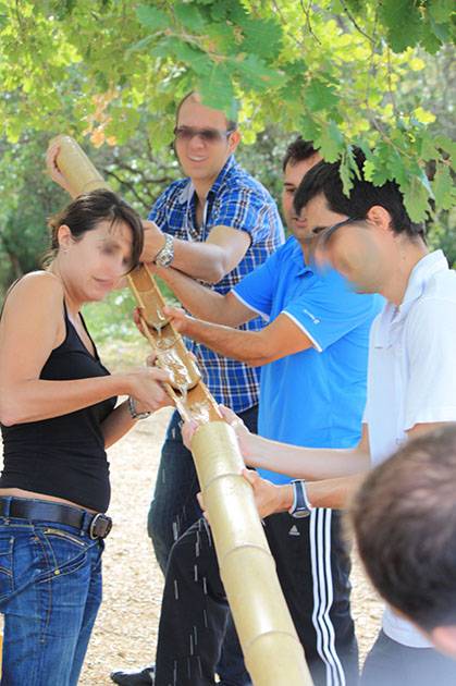 Team building : coopération et intelligence émotionnelle en équipe