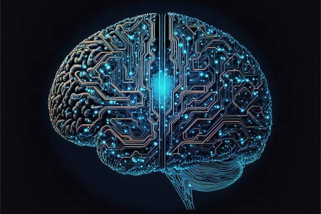 Intelligence émotionnelle : le QE, clé de la performance en équipe