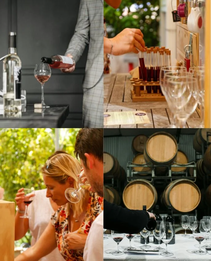 Dégustation vs Wine Gaming : comparaison des animations œnologiques pour team building